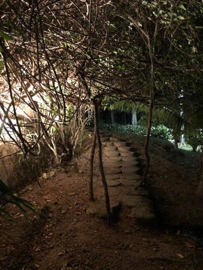 Plasencia Estate Омоа Экстерьер фото