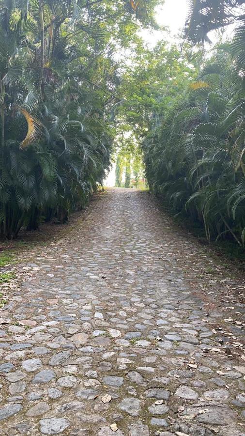 Plasencia Estate Омоа Экстерьер фото